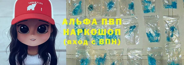СК Алзамай