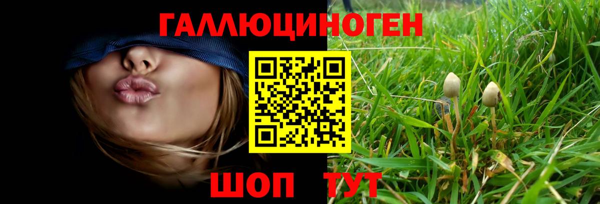 Псилоцибиновые грибы прущие грибы Троицк